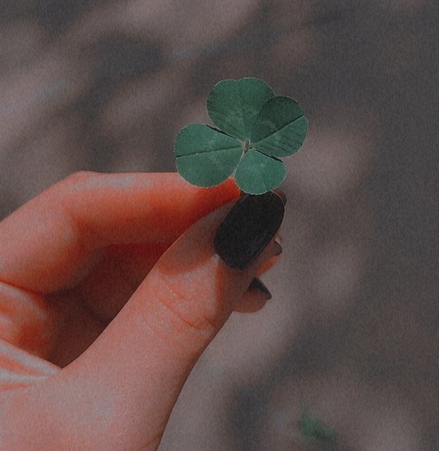 RT this 🍀to pass all your exams