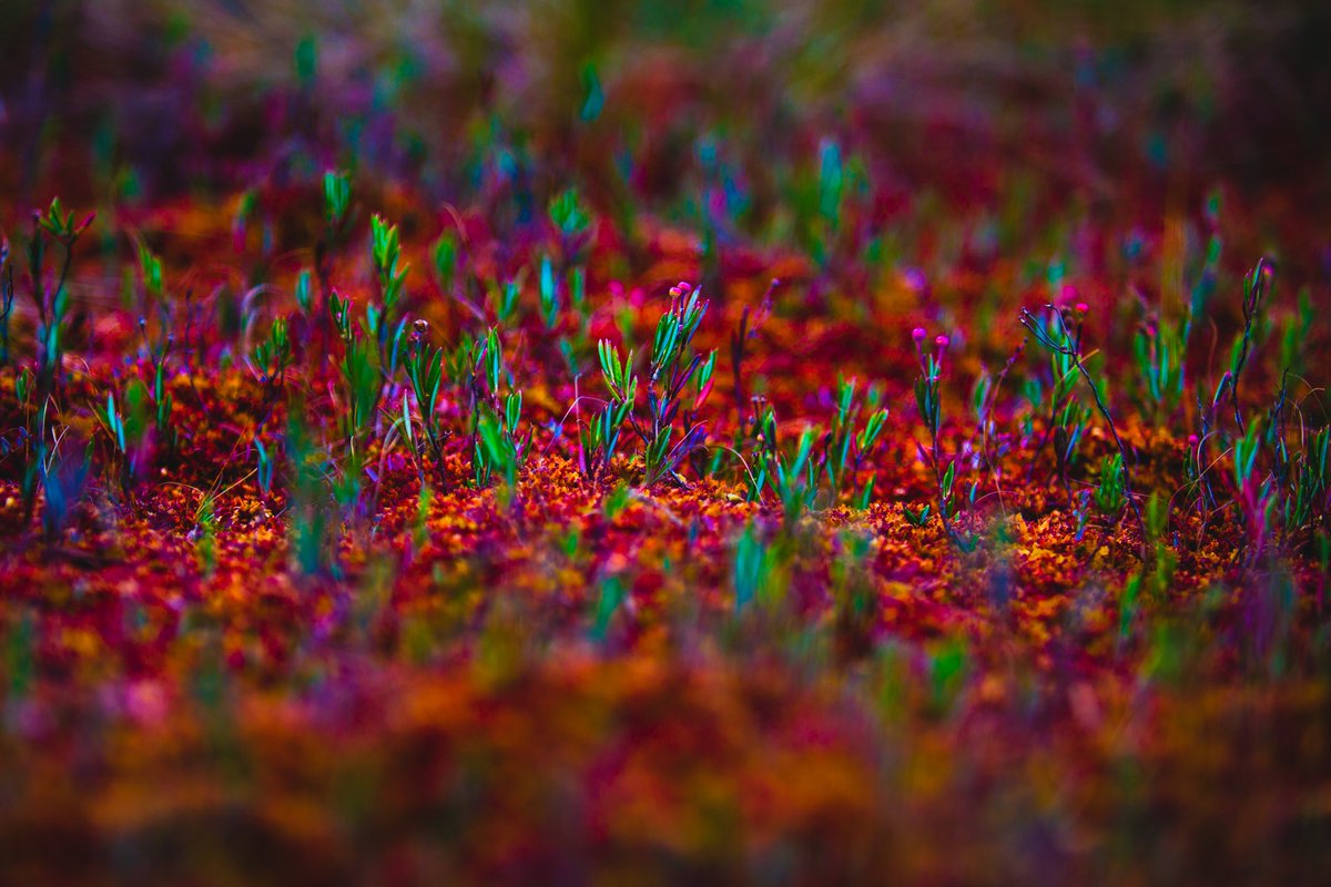 marekssteins's tweet image. 