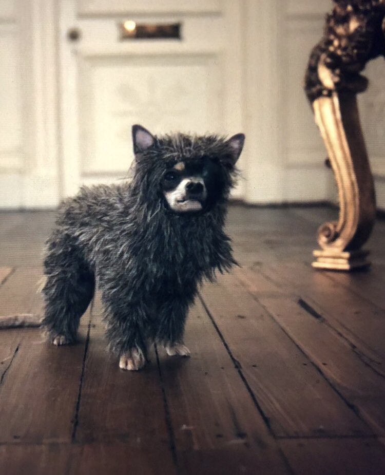 Galaxia_10's tweet photo. Wink may have swiped wallets, but he stole every scene.  #Cruella https://t.co/6IlhgpBWWn