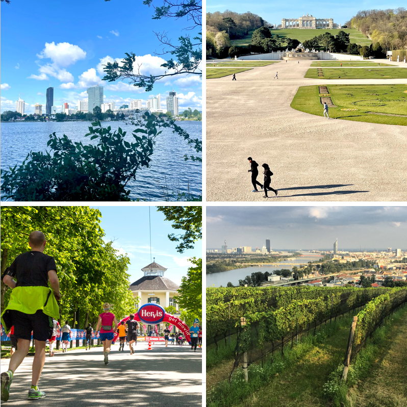 Vienna_Marathon's tweet photo. Wo läufst du am liebsten in Wien: An der Alten Donau, in Schönbrunn, im Prater, am Nussberg - oder anderswo? 💦🏰🌳🍇
Sag es uns! Wir freuen uns auf deine Kommentare. 📲📸😅
#VCM #wien #vienna #cityofrunning #laufliebe #wienliebe #viennanow #mondaymotivation #runandexplore https://t.co/HLhI1FDbzD