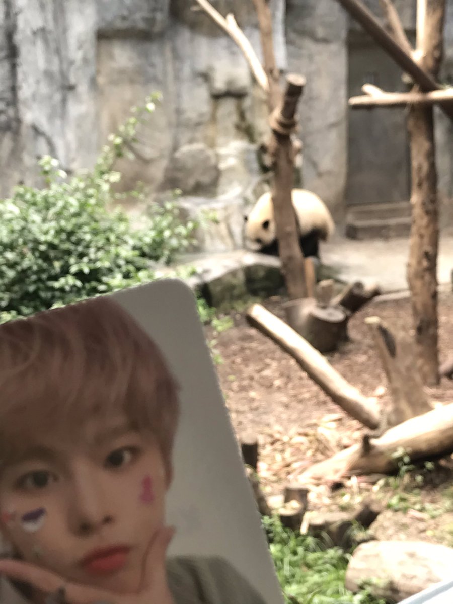 쭈쭈바오,키키 tweet media