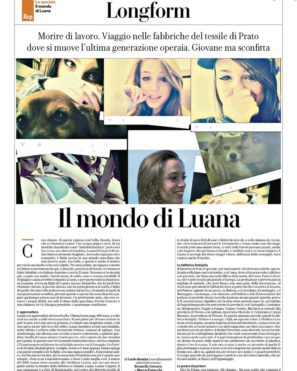 marina spadafora tweet media