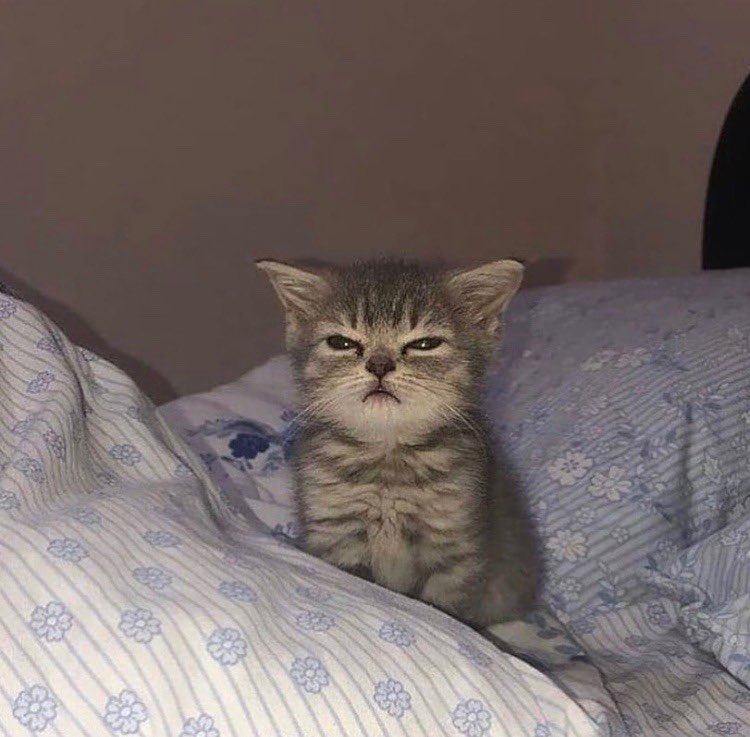 me waking up to another day of the same shit