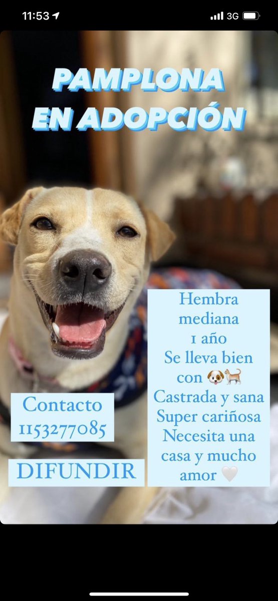 agostinabongi's tweet photo. Por favor, ayuden con un rt🙏🏽 no podemos seguirla teniendo mucho tiempo más https://t.co/qhIsp2BHci