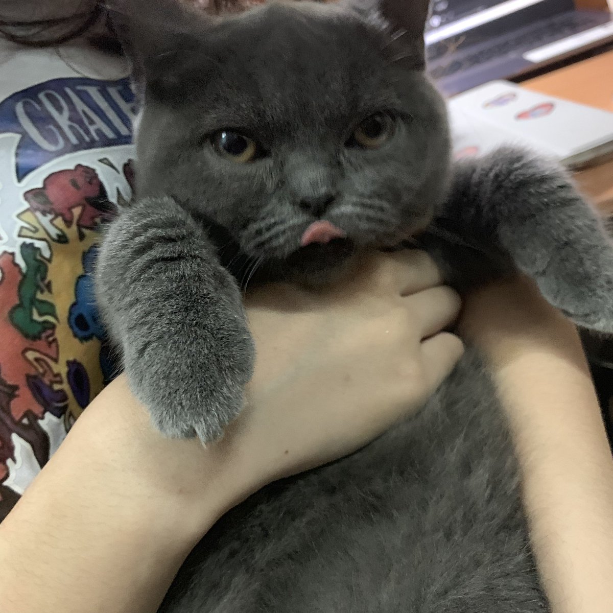 电脑上面很舒服