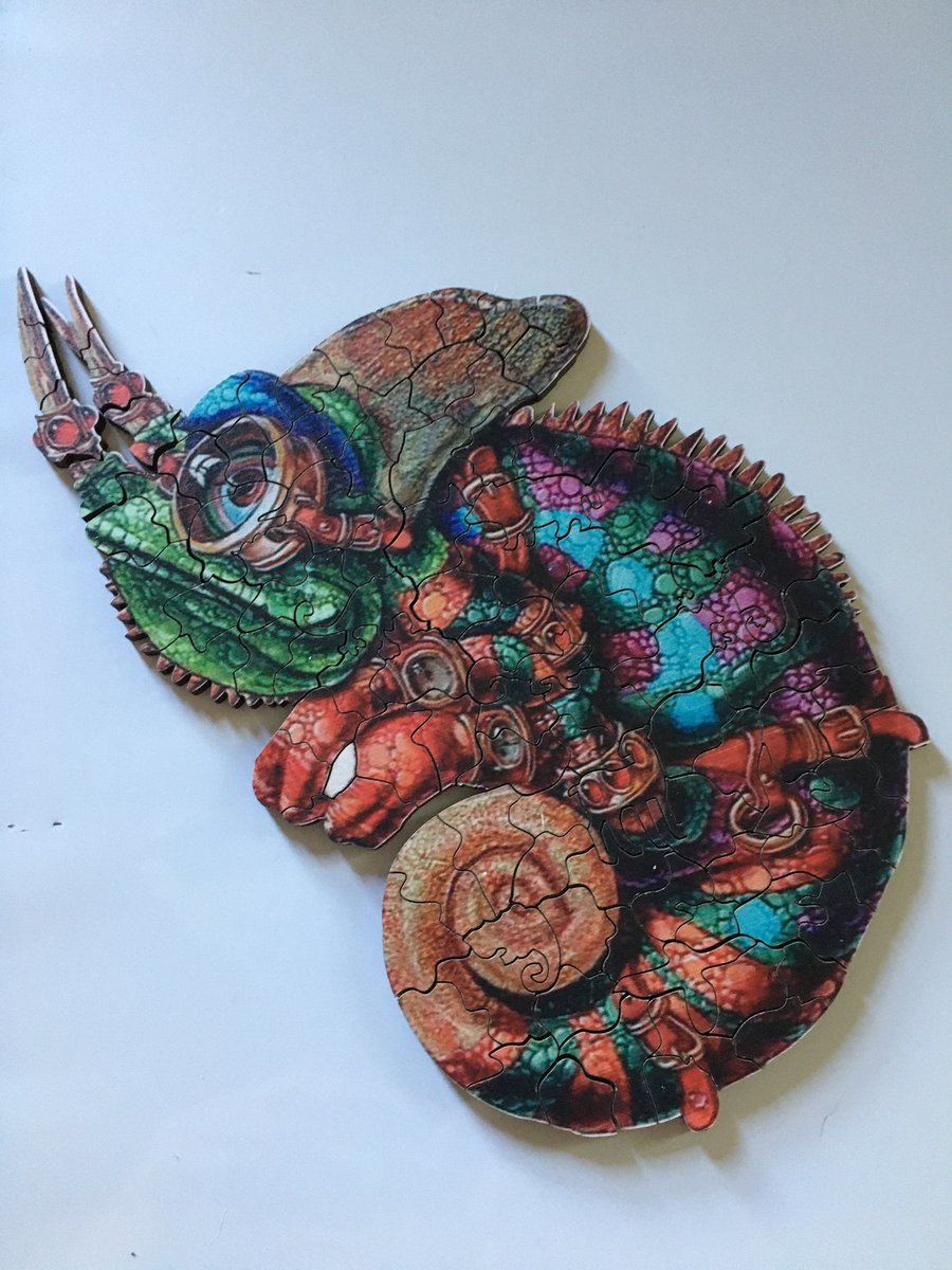 ua_ursula's tweet photo. Completed this cool steampunk chameleon yesterday w help from the family. Sabrina says she was crucial by adding the last handful of pieces. I’ll let her have it 😉 Keep your minds active and hearts open. 💕 https://t.co/jX124vijUM