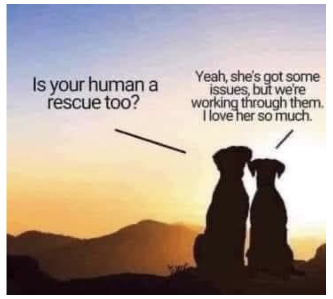 Paddyspurpose01 tweet media