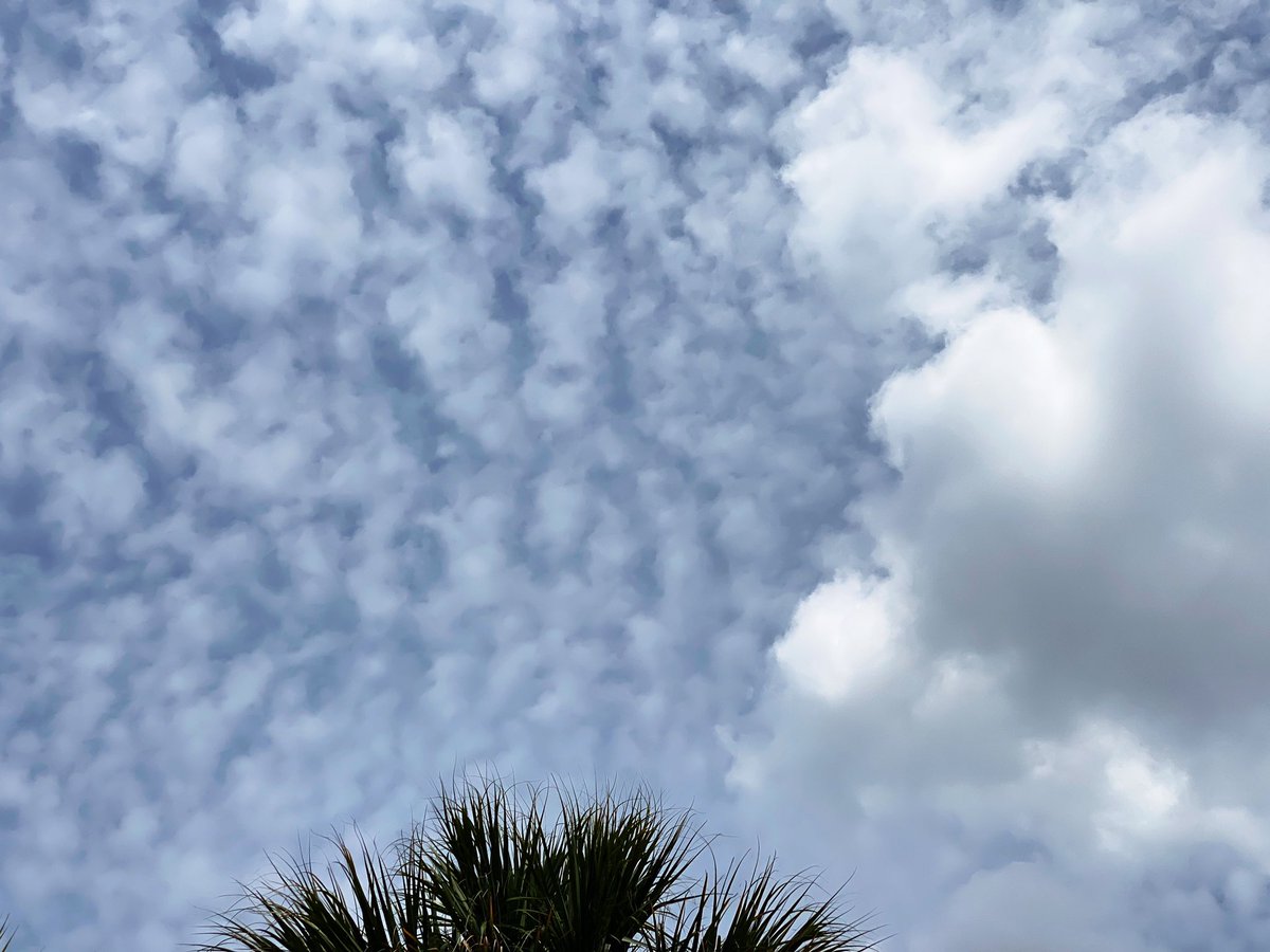 kenseysmom's tweet photo. Hot nβ Hazy day here in South Florida! Waiting on the rain!
#AltocumulusClouds #FLwx #westpalmbeach #StormHour #ThePhotoHour βοΈ https://t.co/4wPH35LPXU