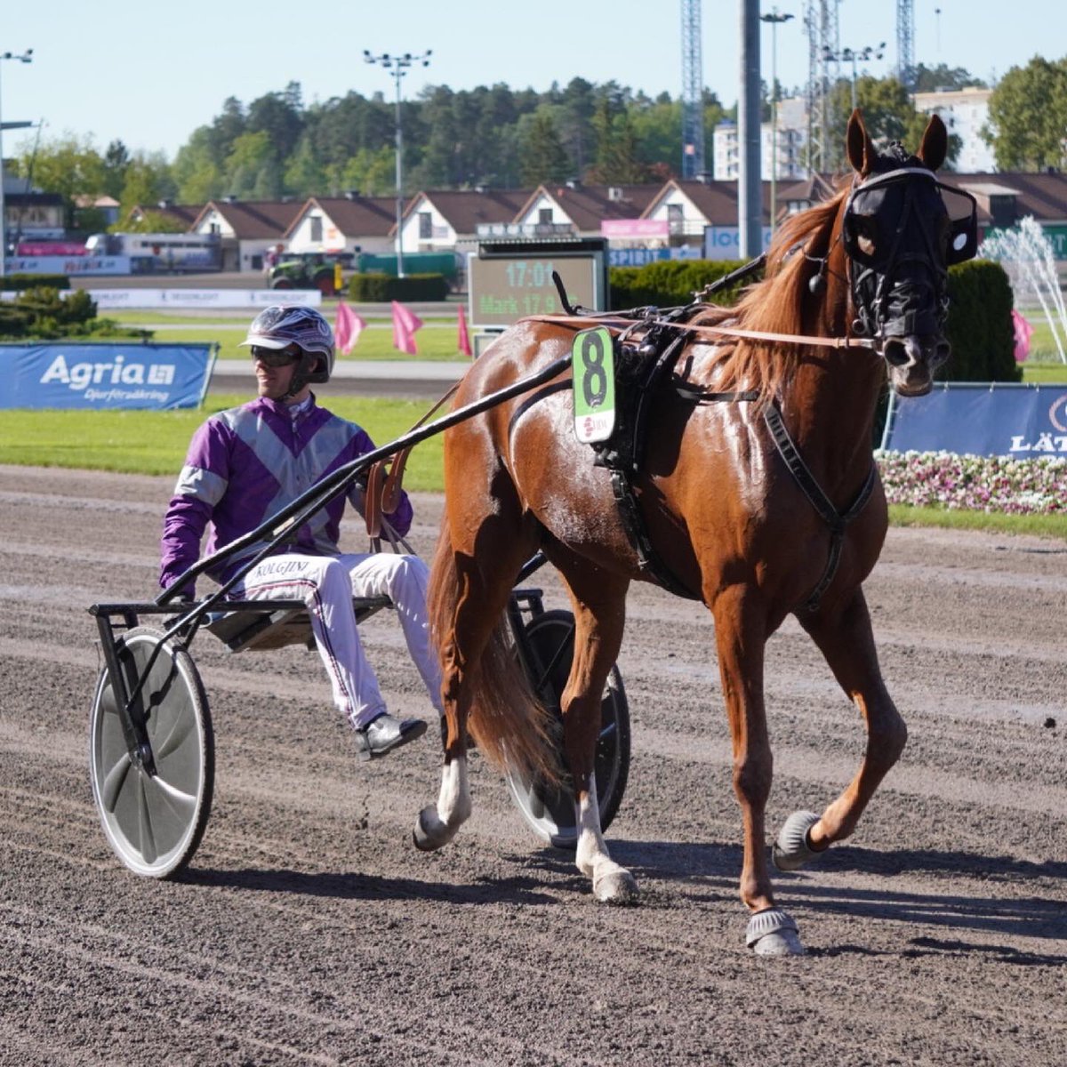 Solvalla's tweet photo. Kali Smart 🇳🇱 spurtar till seger i Gränges - Delicious lopp - Fyraåringseliten Ston
Adrian Kolgjini tränar och körde.
Agnes Carlsson sköter om Kali Smart.
Ägare och uppfödare är Ecurie Smart, Frankrike 🇫🇷 
Stort grattis!
#elitloppet2021 #solvalla #spendrups @spendrupsbryggeri https://t.co/ylqOEMpi2Q