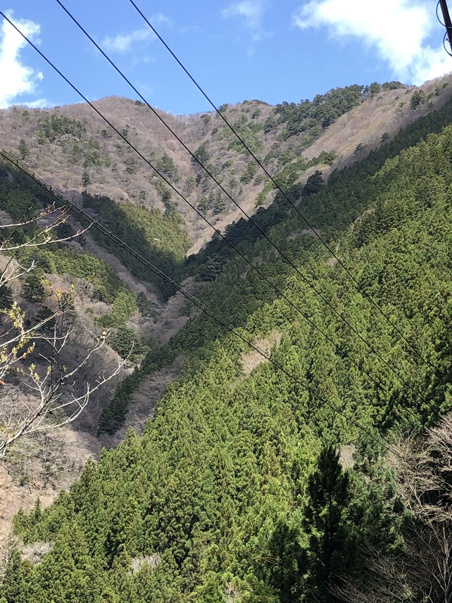 masaomen's tweet photo. この山なんか使い途ないかなー？ https://t.co/WuZnpHxNdx