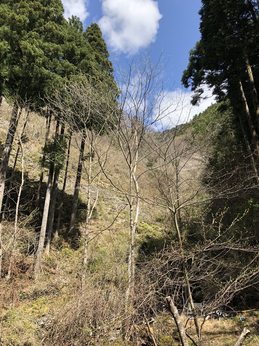 masaomen's tweet photo. この山なんか使い途ないかなー？ https://t.co/WuZnpHxNdx