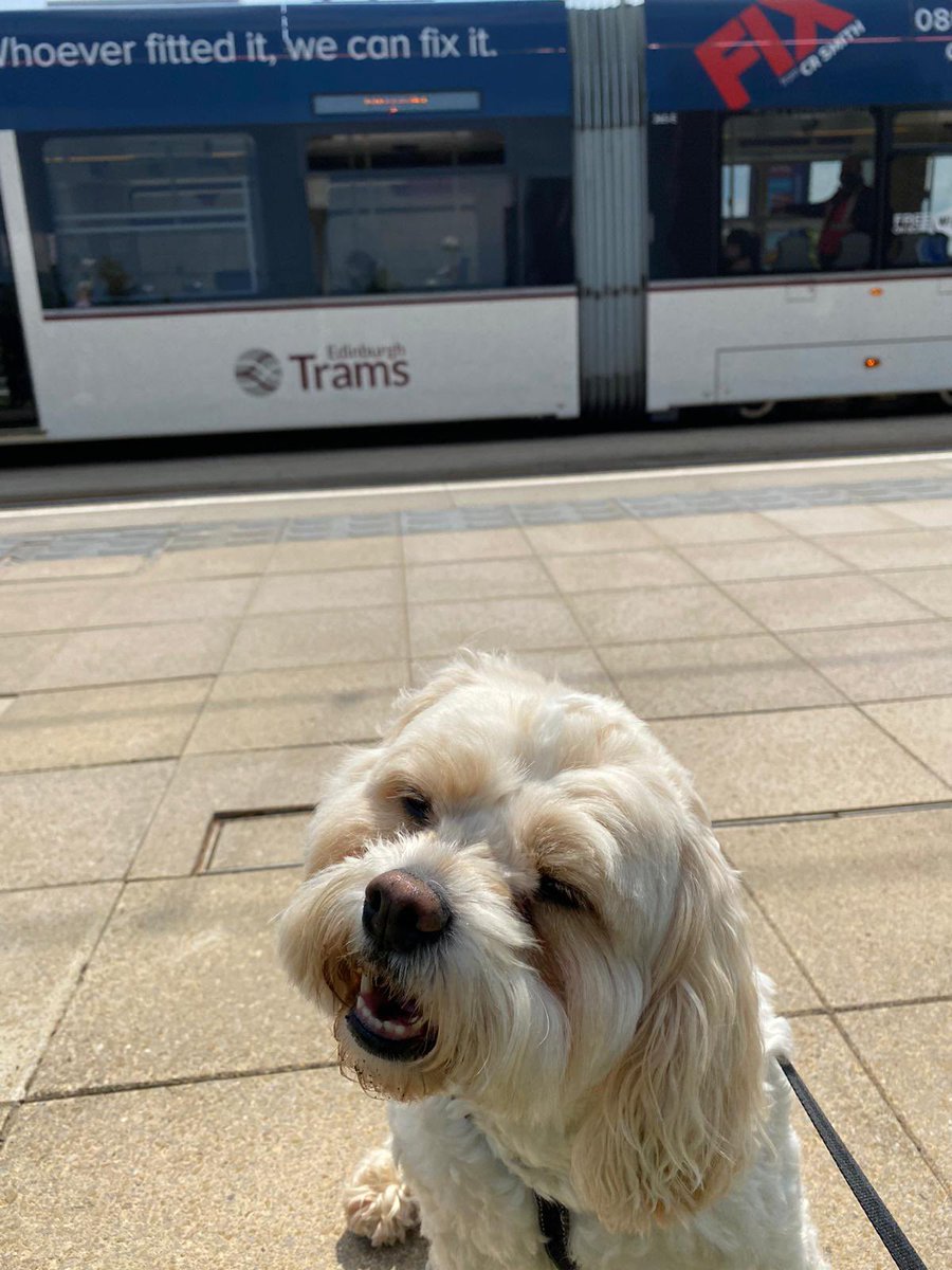 We love our four legged friends. Enjoy your day trip, Poppy. 🐶 🚃 #DogsTravelForFree