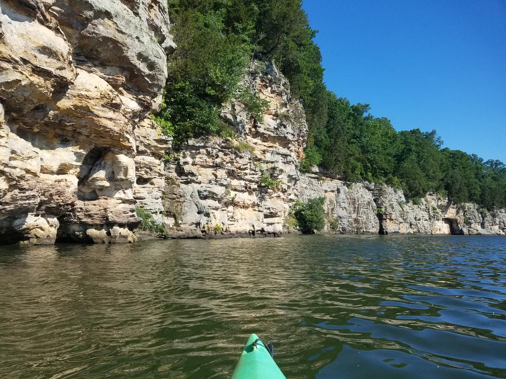ethnopoetics's tweet photo. Paddle out to the bluffs #southernillinois #cedarlake #shawneenf #kayaking https://t.co/BS34CNXnm6
