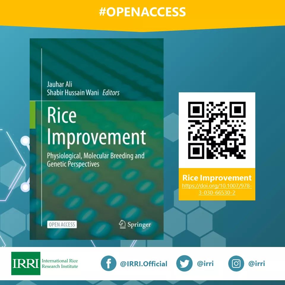 shabirwani20's tweet photo. IRRI #OpenAccess: Rice Improvement: Physiological, Molecular Breeding, and Genetic Perspectives
Download the book for FREE at Springer Link: https://t.co/p6BgEyGm5c
This open-access book is dedicated to the 60th Anniversary of the International Rice Research Institute (#irri60). https://t.co/huf5eH6nuJ