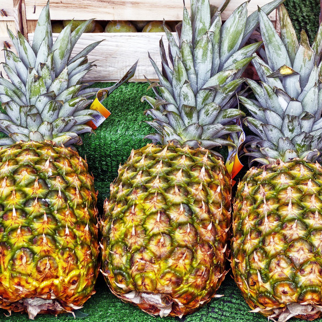 coachlukecom's tweet photo. Being rich in antioxidants, pineapples may reduce the risk of some chronic diseases such as diabetes, heart disease, and certain cancers.

Read the full article: 7 Amazing Health Benefits of Pineapple
▸ https://t.co/GmgyAWwfV0

#Pineapple #BenefitsOfPineapple https://t.co/RWWti9quSE