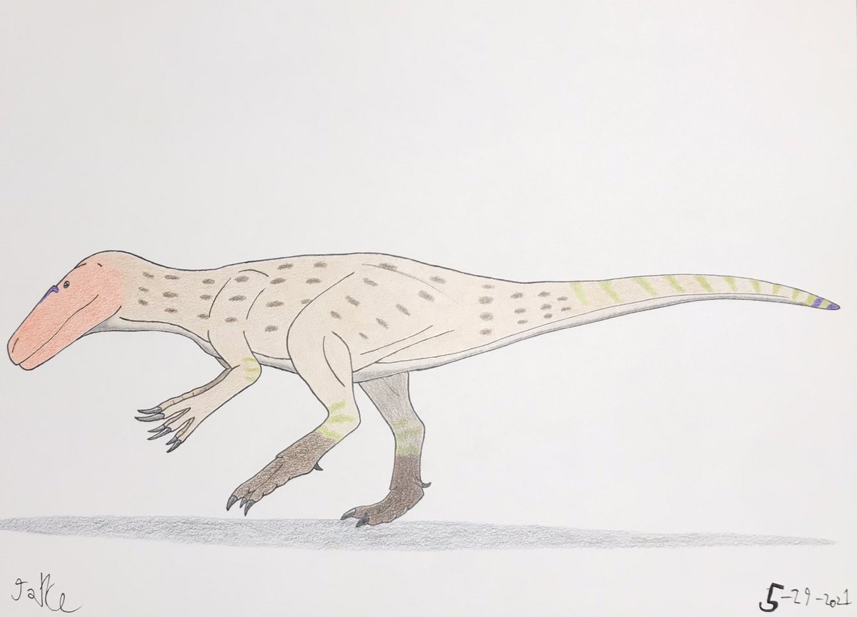 CreatorJayce's tweet photo. Here is a colored pencil and ink illustration of a Marshosaurus bicentesimus I created for #morrisonweek. #morrisonformationweek #morrisonmay https://t.co/VrrbEeLa4T
