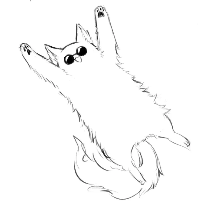 🐱🐶 