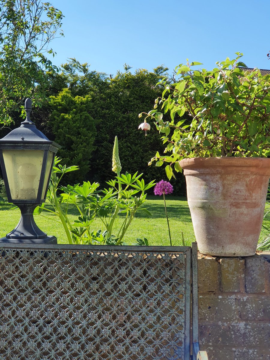 Well this is better.