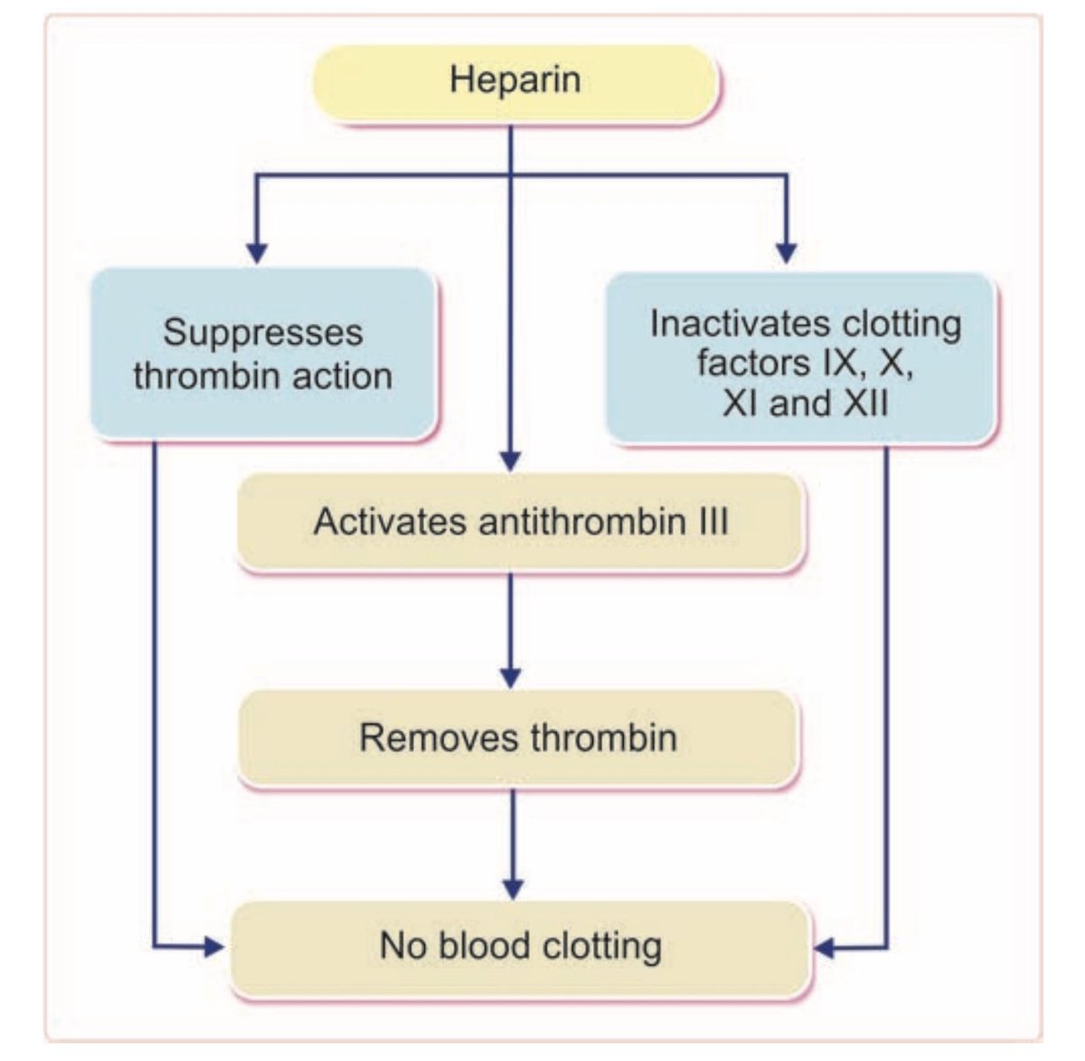 ✅ ميكانيكية عمل الهيپارين في خطوات مبسطة و جميلة