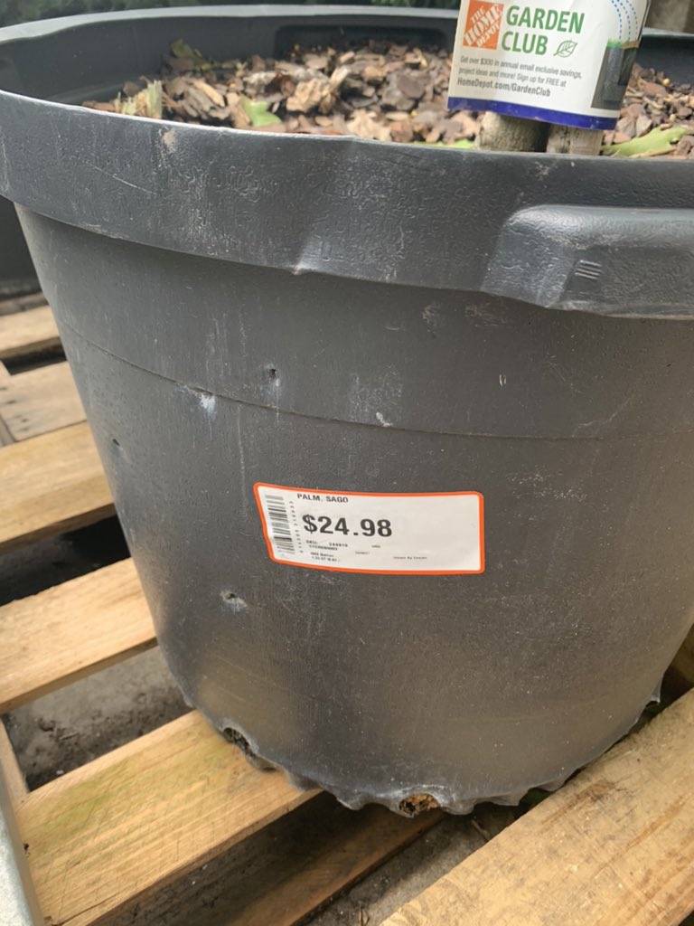 PerrySingletar2's tweet photo. Great job by our Garden cashier Jackie. She identified and prevented possible shrink. Outstanding engagement and awareness. 
Bravo Jackie #TheBerg #6530 https://t.co/9Iy0YMzHR2