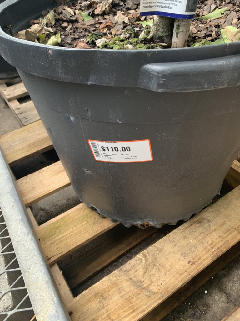 PerrySingletar2's tweet photo. Great job by our Garden cashier Jackie. She identified and prevented possible shrink. Outstanding engagement and awareness. 
Bravo Jackie #TheBerg #6530 https://t.co/9Iy0YMzHR2