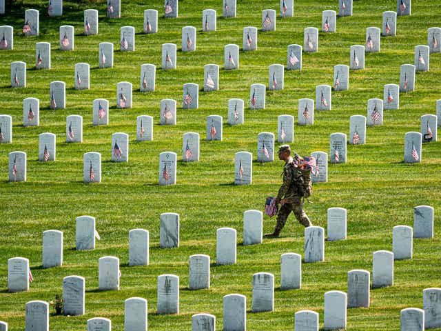 American History tweet media