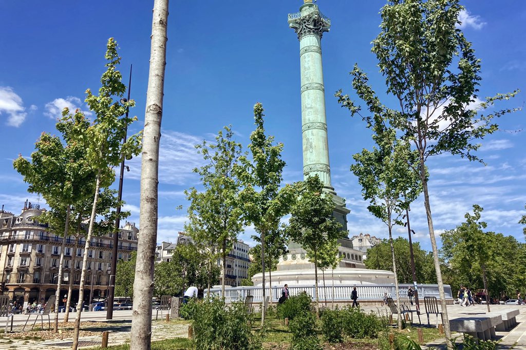 Mathieu Grapeloup tweet media