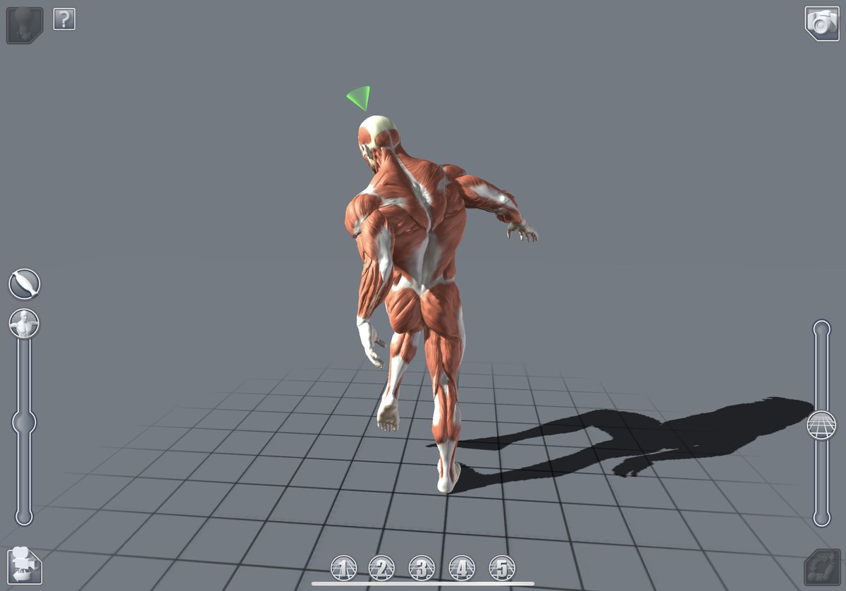 うさぎ小僧 ポーズ撮らせるの糞難だけど筋肉量とライティング人体解剖図にできるの最高やん