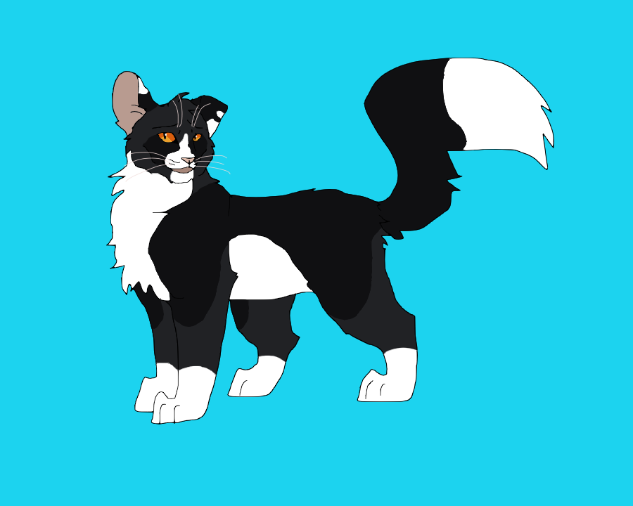 BrambsOnFire's tweet photo. Toadstep but with one floppy ear because why not.
#Toadstep #warriorcats https://t.co/V6gdy5z2j4