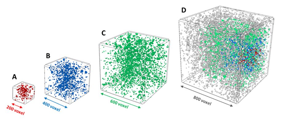 SciPasTips's tweet photo. #Lac3D is software that detects #lacunarity in material samples investigated with micro-CT. It is written in #ObjectPascal with the #Lazarus IDE for #FreePascal. #Object_Pascal #Pascal #programming. https://t.co/OrbDilI5Zy https://t.co/UymjgTgsp1