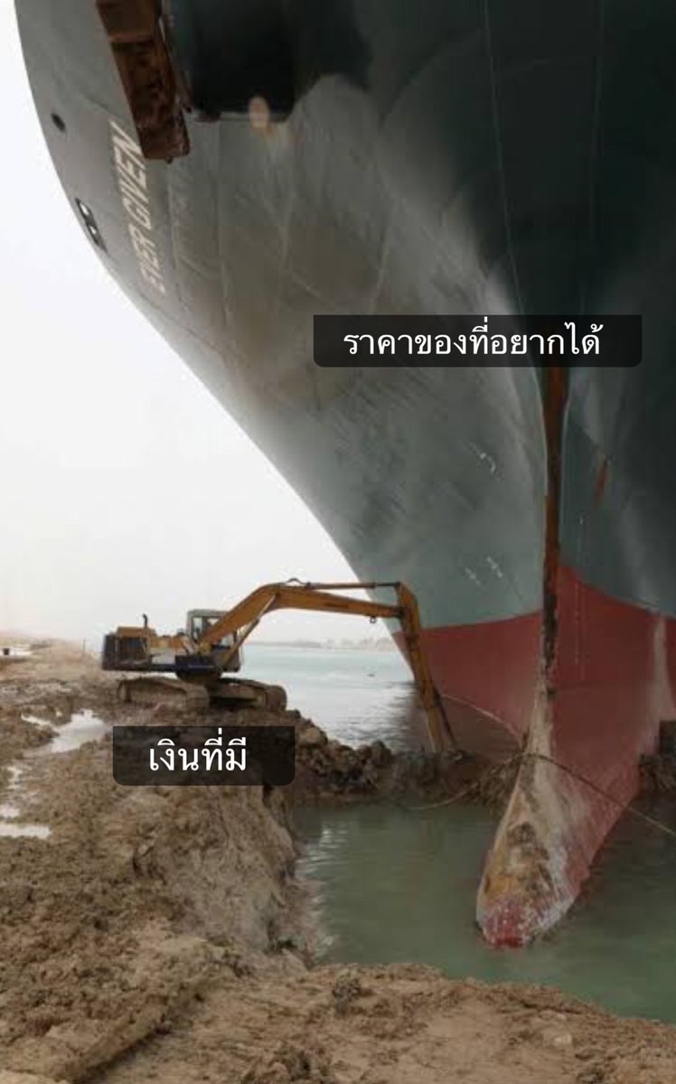 sutiฯ tweet media
