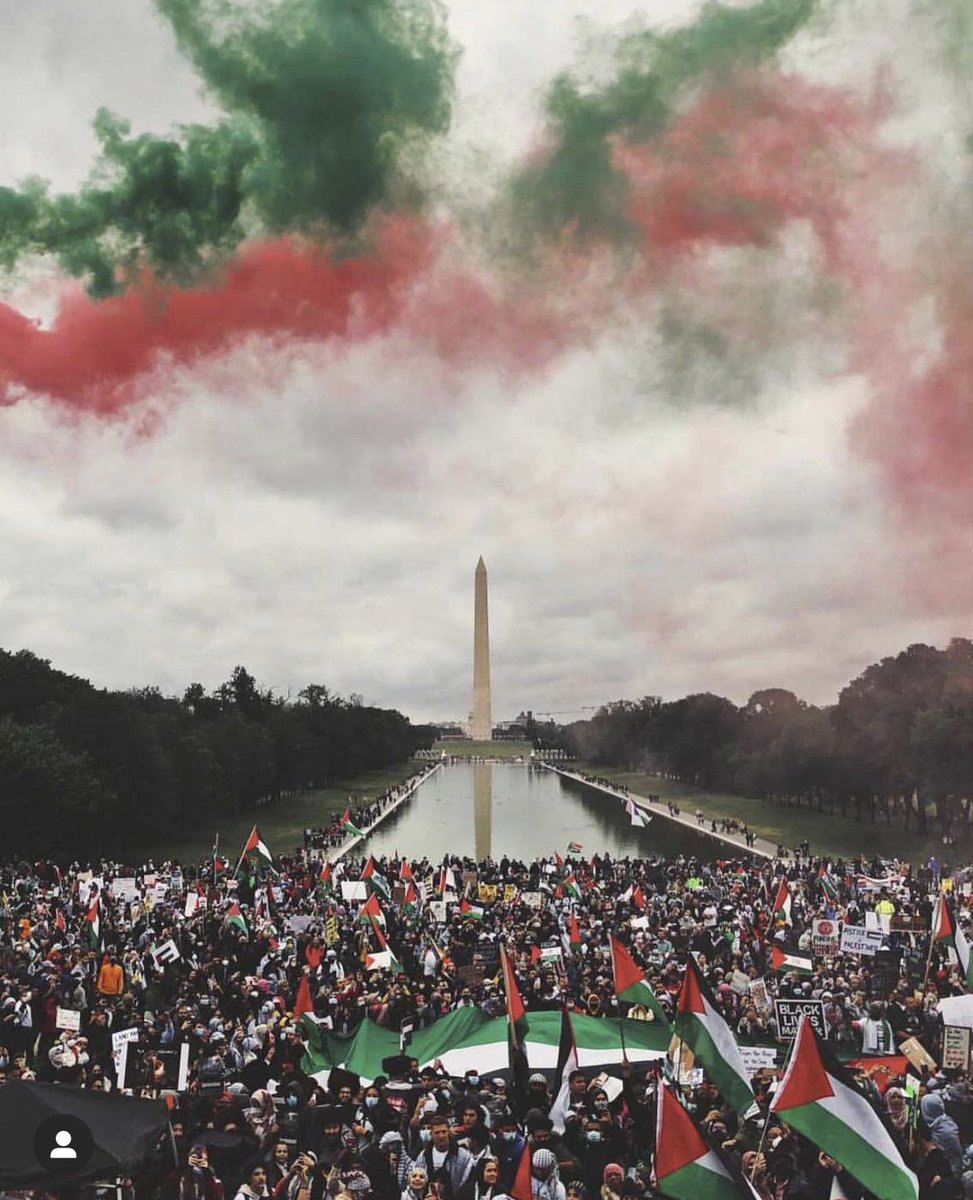 DC rose up for Palestine. What an amazing photo.