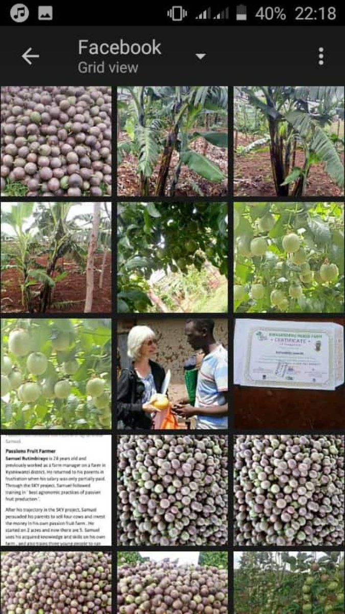 EnockAmpumuza's tweet photo. Today on his #Facebook account Samuel Rutimbirayo an ex-trainee @NLinUganda @FondazioneAVSI #SKYProject shares his #inspiring story of how #embassyvisit turned his life. He has since hosted several visitors, inspired fellow youth and increased passion fruit production. https://t.co/BDNYejgTye