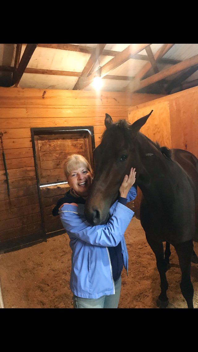 Officially in love♥️Wicked Easy(Wicked Strong) is settling in SO nicely! His new family is going to love him♥️@Rwilk21 @LisaF713 @ChacoOttb @Kimbchr #OTTB #BabyWicked #FosterMom 🐎