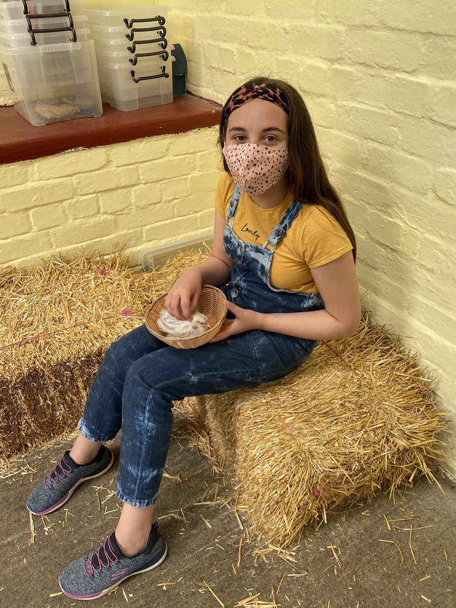 Leonamylo's tweet photo. No screens, or teams (I hate teams!!) for two days, a day at the farm, fresh air, nature and my little mini me, I’m feeling happy again ❤️❤️❤️ #halftermfun #morebalance https://t.co/akRu3ePhmI