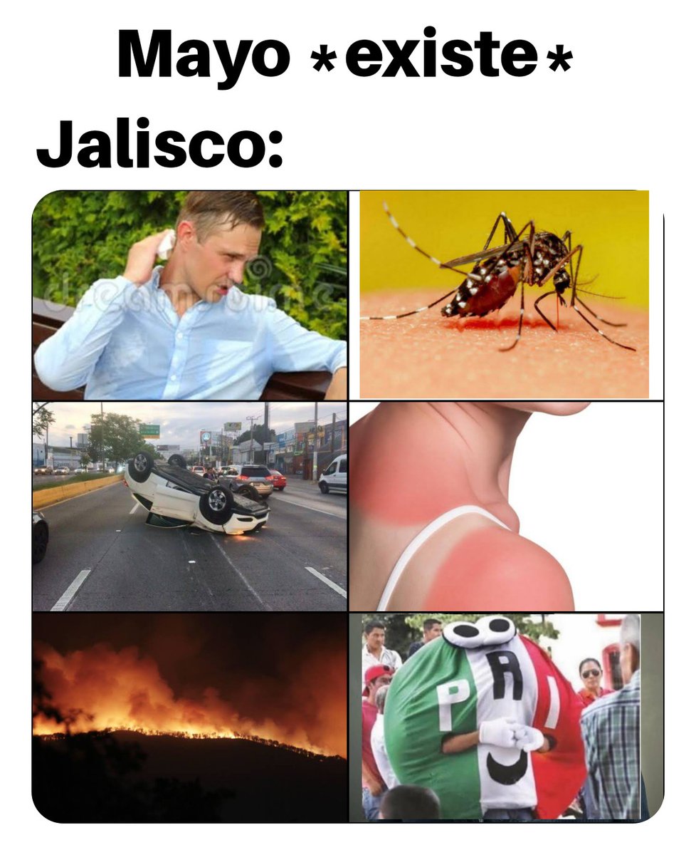 ShitpostGDL's tweet photo. https://t.co/eS8AZkmhuX
