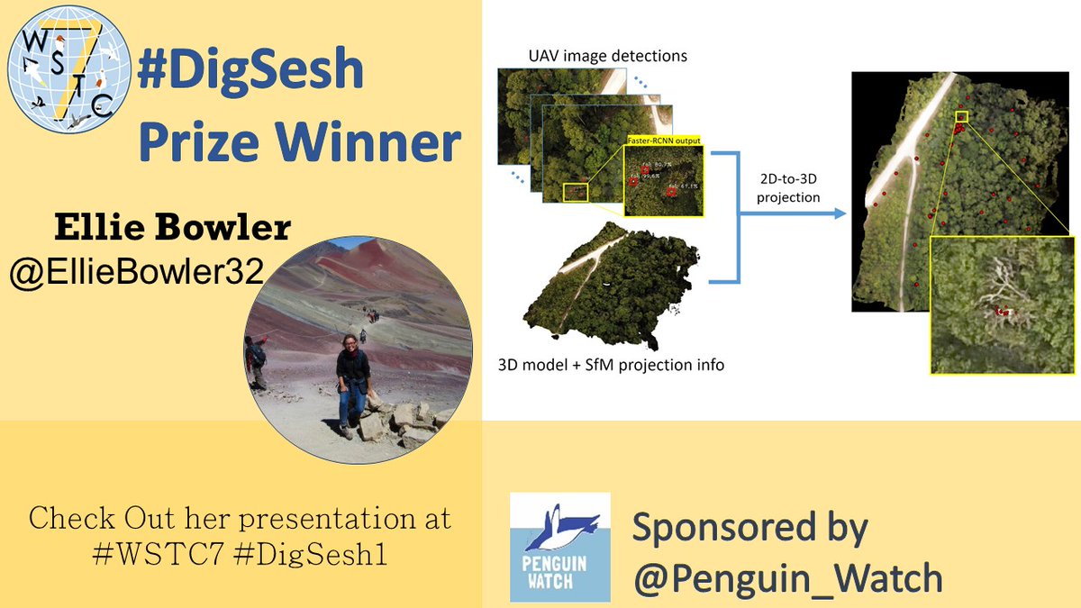 Seabirders's tweet photo. Ellie Bowler @EllieBowler32 dazzle with her method for detecting canopy-nesting Abbott's boobies at the #DigSesh1 and will receive a true Penguin Watch @penguin_watch explorer kit.
#WSTC7 https://t.co/G8yDH7JXnf