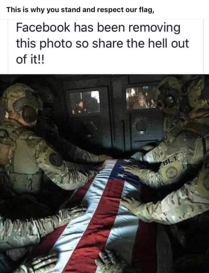 bergganator's tweet image. 