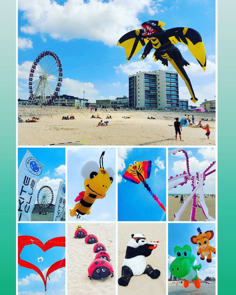 BercKite's tweet image. 