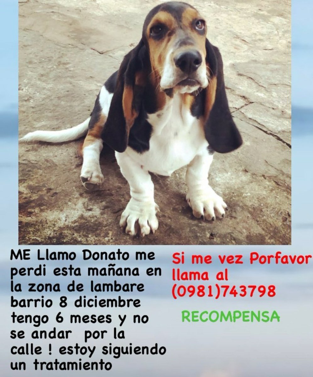 poharoysa's tweet photo. Se perdió zona Lambaré. Ayudemos https://t.co/rP5VsOGsVU