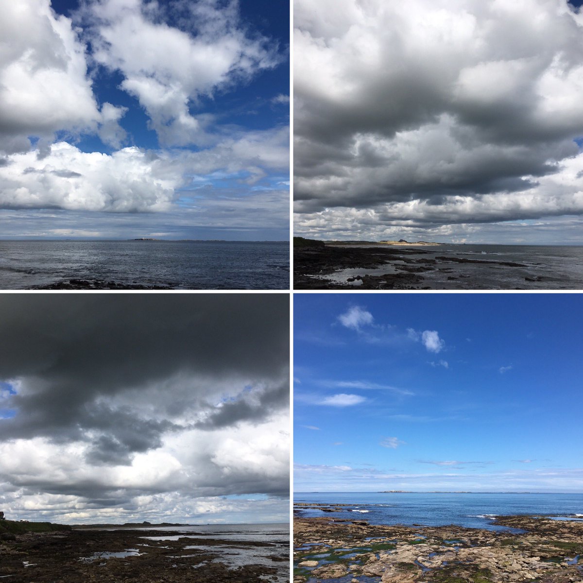 rangerJanebeachschool 🦉🦀🐠⚓️⛵️🐾🍄🌻🐚🌈🍰🐞🦋🐶 tweet media