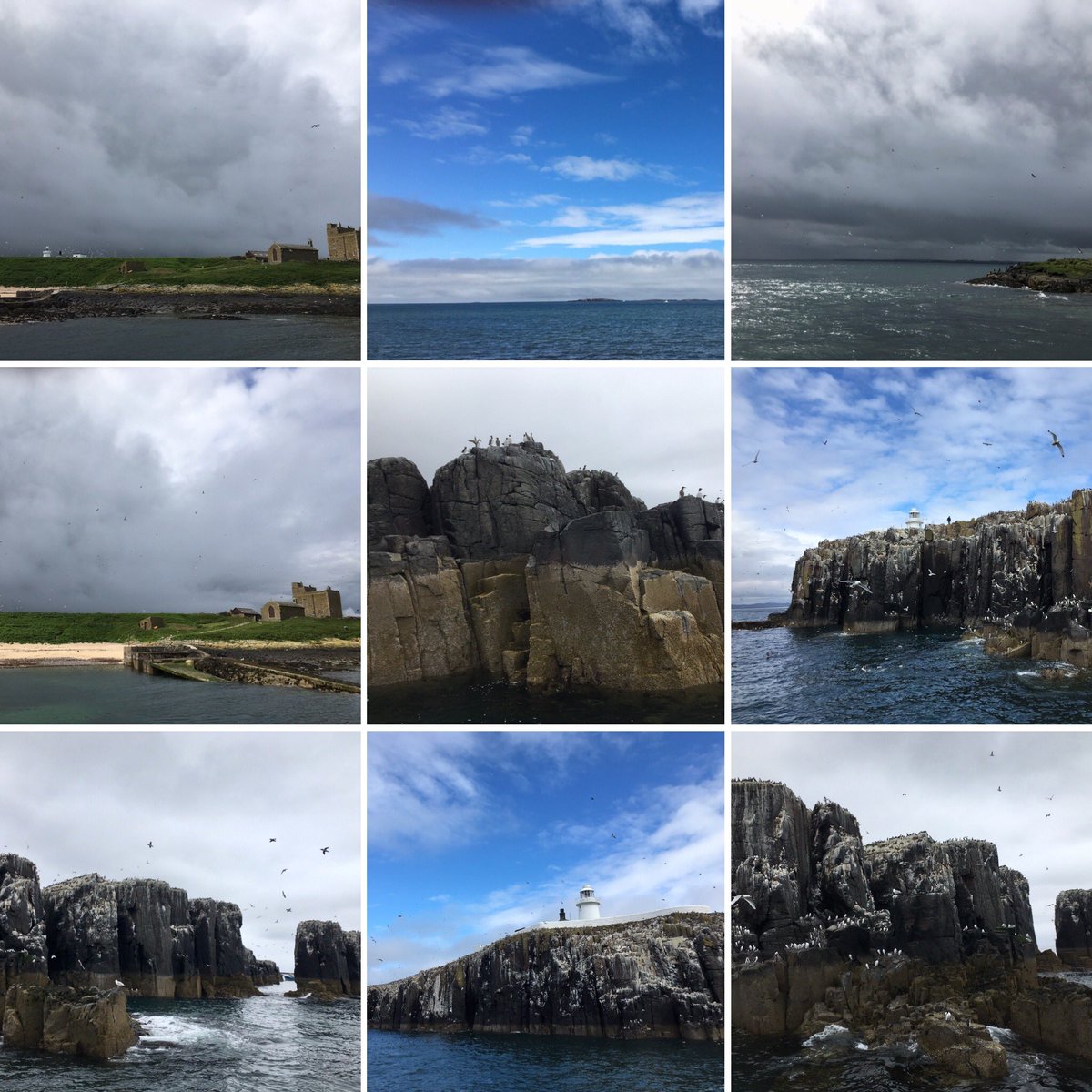 rangerJanebeachschool 🦉🦀🐠⚓️⛵️🐾🍄🌻🐚🌈🍰🐞🦋🐶 tweet media