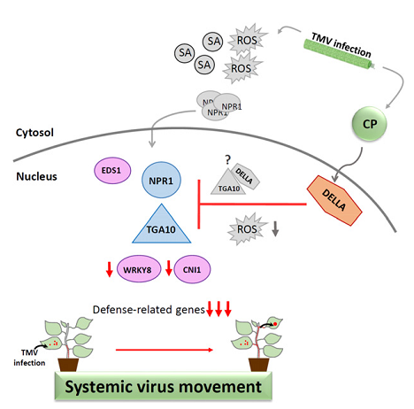 Congratulations to Andrea and Cecilia for this awesome work!!! With Highlight and Cover included!!  Proud to be part of