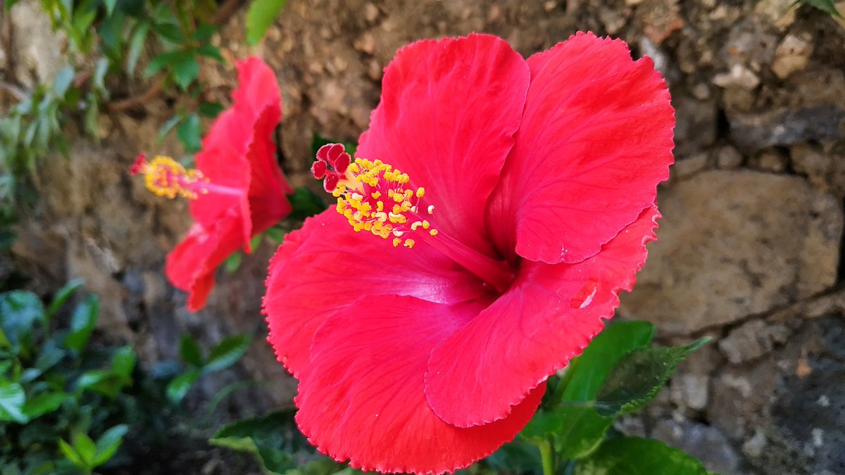 SalRios__'s tweet photo. Gracias Dios por haber colocado en mi caminar a este ser de luz y amor, al que amo con todo mi ser .... ( Como cuando nos encontramos, los dos siempre juntos ) te amo @Reflejo_deLuna https://t.co/T16FxgQFBW