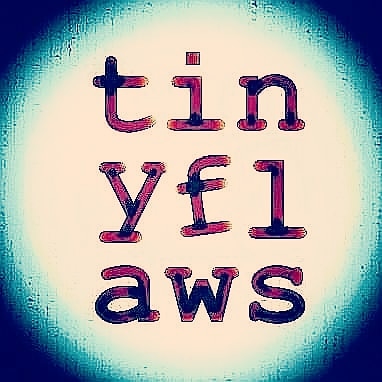 tinyflaws tweet media