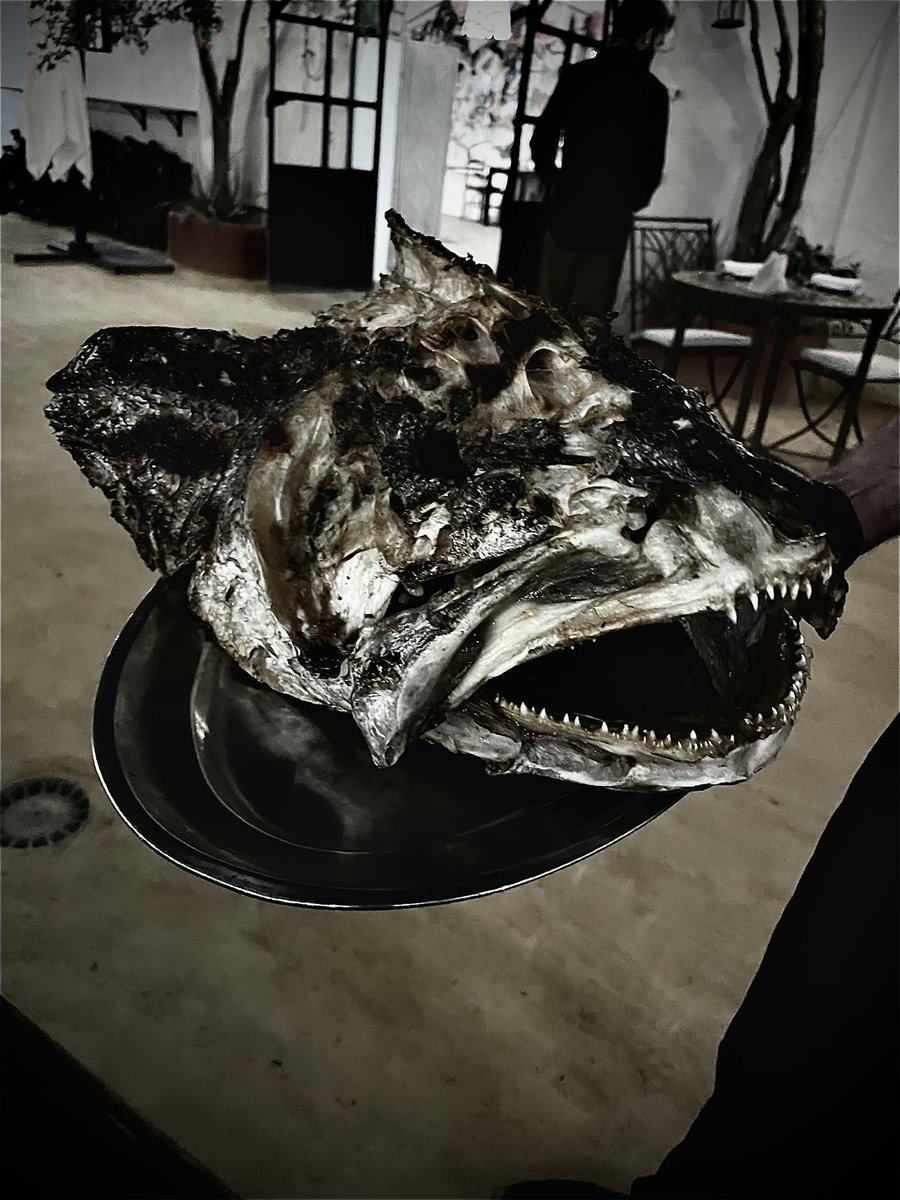 Por la noche es cuando TOHQA y sucede lo peor.Todo se torna oscuro y profundo,las negras bestias abisales muestran el terror de sus rostros,abren sus fauces dejando ver el vacío tras sus dientes brillantes,se ensañan con los comensales y llega...EL HORROR!! The Tohky Horror Show