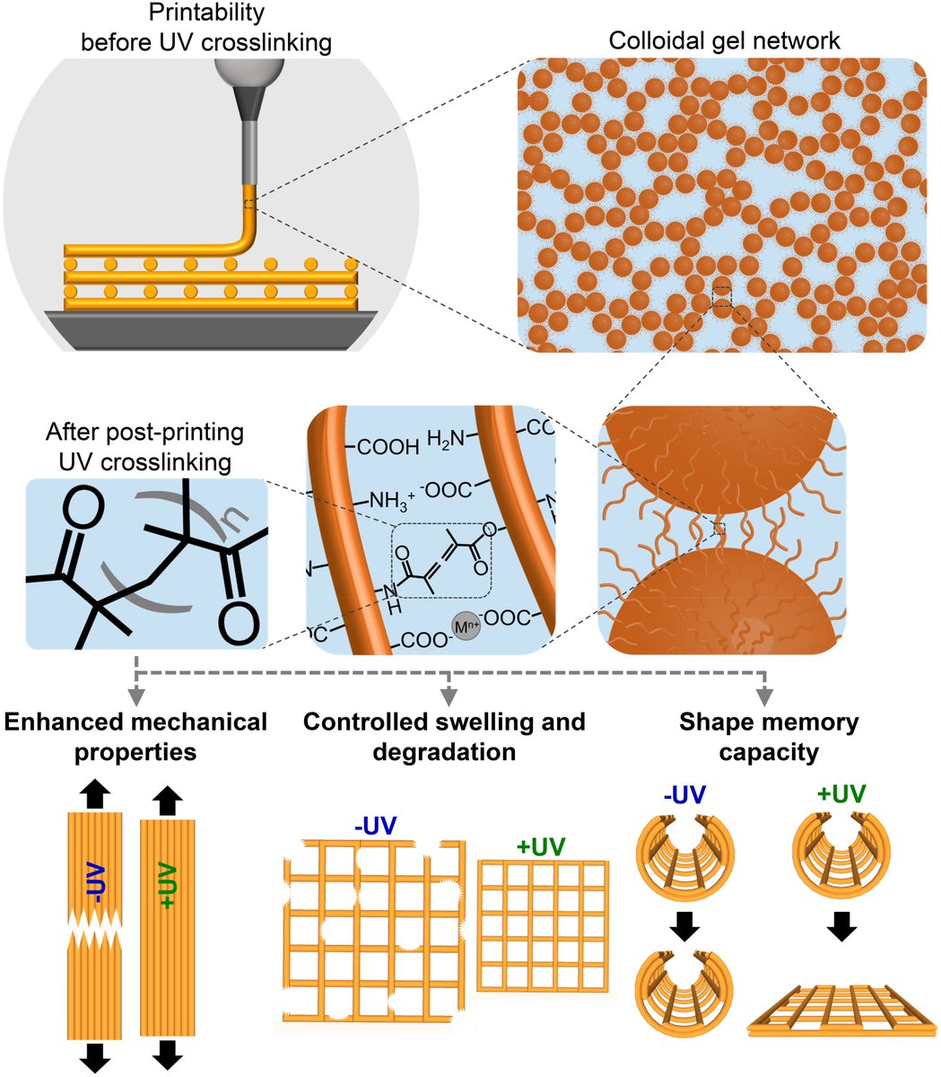 Mani Diba tweet media