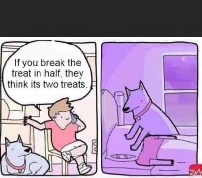 ralphiesmods's tweet photo. @DoctorFlip This is why dogs not here https://t.co/iZUEKkiTVz