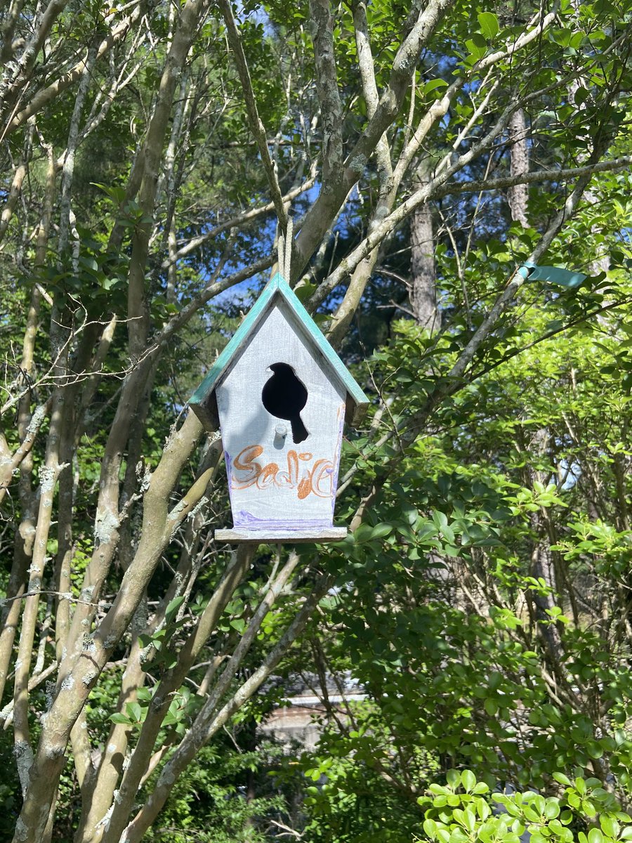 What’s the story with this #birdhouse hole on #path400? The bird would have to go in sideways?? Makes no sense