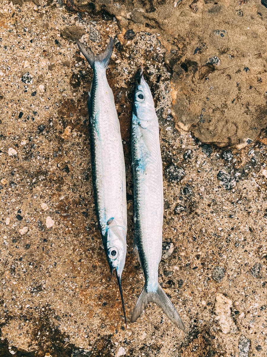 tayoainafilms's tweet photo. The cool part about Lagos is that you can make it whatever you want it to be.   Today I decided to become a fisherman😁! https://t.co/8IXBy5C2l3